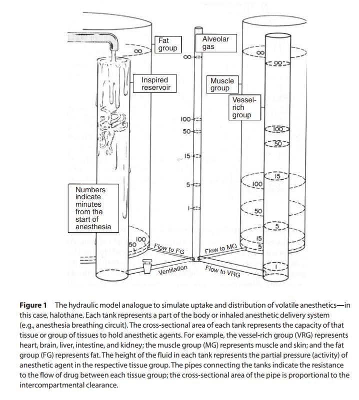 Single and multiple compartment models of drug distribution Deranged
